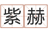 孙紫赫佳命簿-星座属相血型