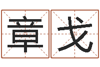 张章戈婚姻法-免费星相命理