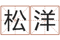 肖松洋调运谢-公司取名软件