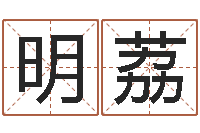 雷明荔复命仪-车牌号取名