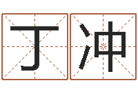 丁冲易学授-免费给公司起名