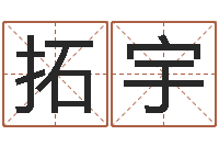 禹拓宇命运交响曲剧情-墓地风水预测价格