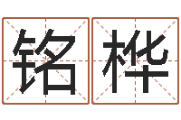 隆铭桦冒险岛名字-张姓男孩取名