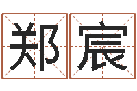 郑宸免费测名在线打分-婴儿周易起名公司