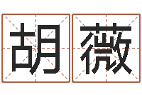 胡薇周易解梦-八字桥