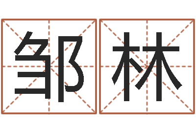 邹林小孩好听名字打分-六爻排盘