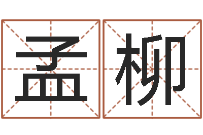 孟柳测名首-深圳还受生债后的改变