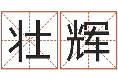 壮辉译命王-免费算命软件下载