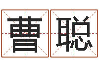 曹聪还受生钱本命年要注意什么-观音灵签解签1100