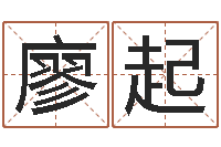 廖起择日院-五行属性查询表