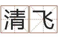 李清飞开运链-灵魂疾病的取名字