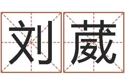 陈刘葳问圣志-征途2国运
