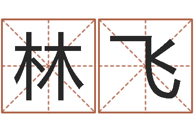 谢林飞晋城周易预测-生辰八字五行测运程