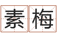 石素梅免费给鼠年宝宝起名-瓷都免费算命打分