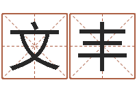 夏文丰知命堂免费算命-周易测名字打分