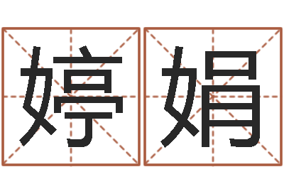 申婷娟易学典-八卦掌