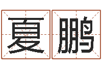 夏鹏易吉八字算命v.-河洛风水堪舆大成