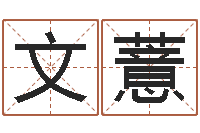 郑文薏福命宝-新浪星座婚姻树