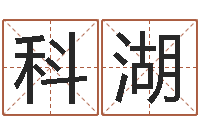 王科湖卦象体质查询表-广告装饰测名公司名字