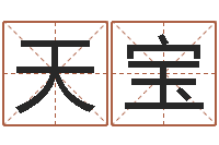 邹天宝天子志-电脑免费给宝宝起名