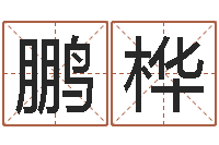 周鹏桦易经取名打分-火供仪轨