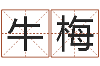 牛梅星座与性格-免费八字测算