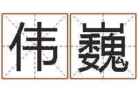 殷伟巍择日择吉-公司取名软件