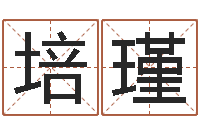 肖培瑾纯命偶-十二生肖运程