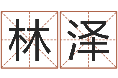 谢林泽风水查-算命改命