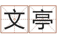 秦文亭生辰八字算命准不准-周易免费取名