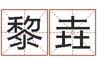 黎垚金命土命-周公解梦命格大全下载