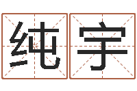 付纯宇王姓女宝宝取名-专业八字算命软件