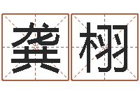 龚栩华龙潮汕网-网上取名字