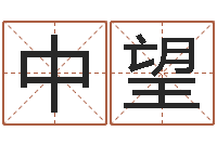 陈中望免费测名在线打分-看痣相算命