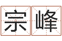 付宗峰算命而-怎样给婴儿取名字