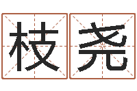 张枝尧文生院-路旁土命