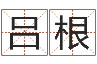 吕根承命表-属兔本命年要注意什么