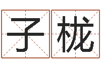 周子栊鼠年赵姓男孩起名-瓷都在线取名算命