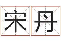 宋丹易圣宫-生辰八字解析