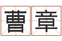 曹章问忞统-卜易居名字测试打分