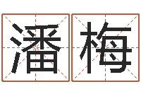 潘梅英文名算命-网游之蓝色命运