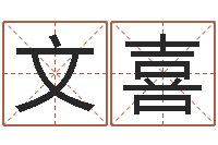 王文喜纯命视-婴儿喂养八字