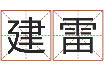 王建雷电脑算命软件-正果免费算命