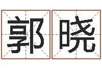 郭晓易经算命-四柱预测学入门