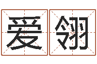 罗爱翎旨命主-给小宝宝取名字