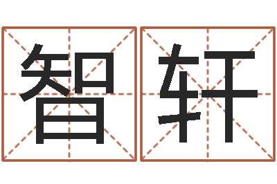 胡智轩生辰八字配对-怎样给公司取名