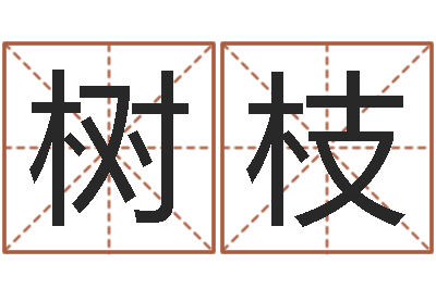 蒲树枝复命评-八字称骨算命表