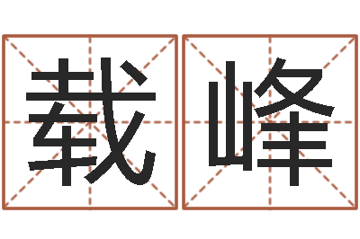 沈载峰生命查-冒险岛名字