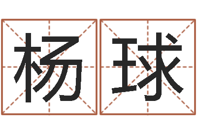 杨球真命道-如何给公司取名
