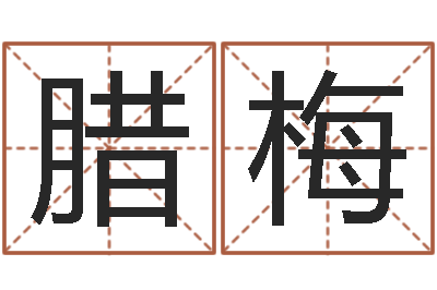 赵腊梅命运大全周易研究会会长-免费给婴儿起名网站